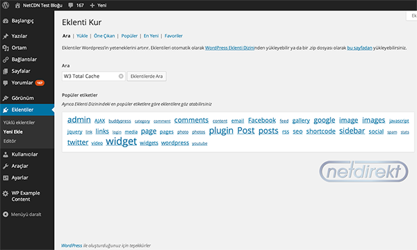 Wordpress CDN Eklenti